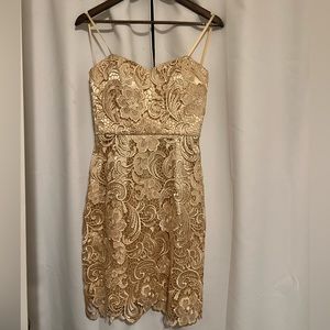 Strapless Lace Cinderella Divine Dress